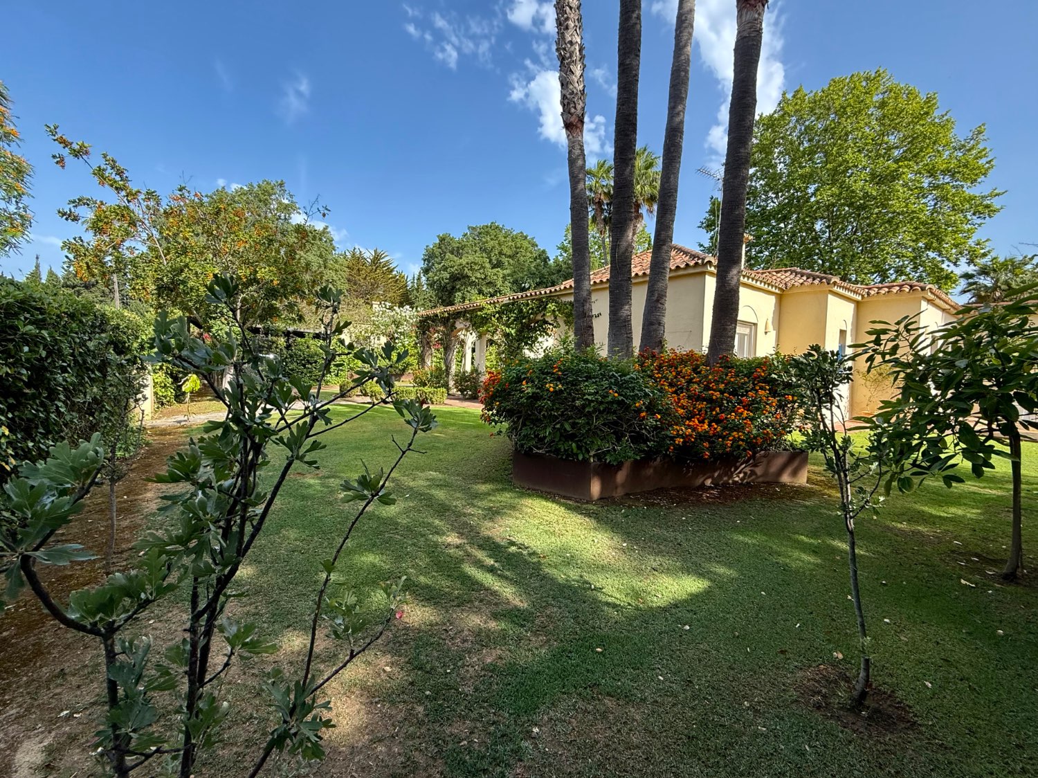 Vila v prodeji in Sotogrande Alto