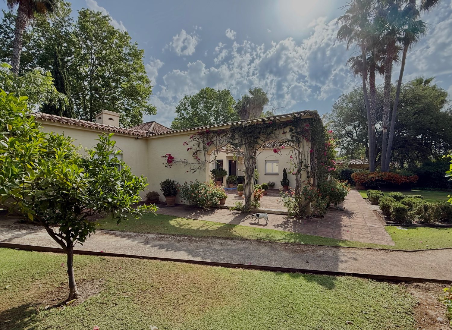 Vila v prodeji in Sotogrande Alto
